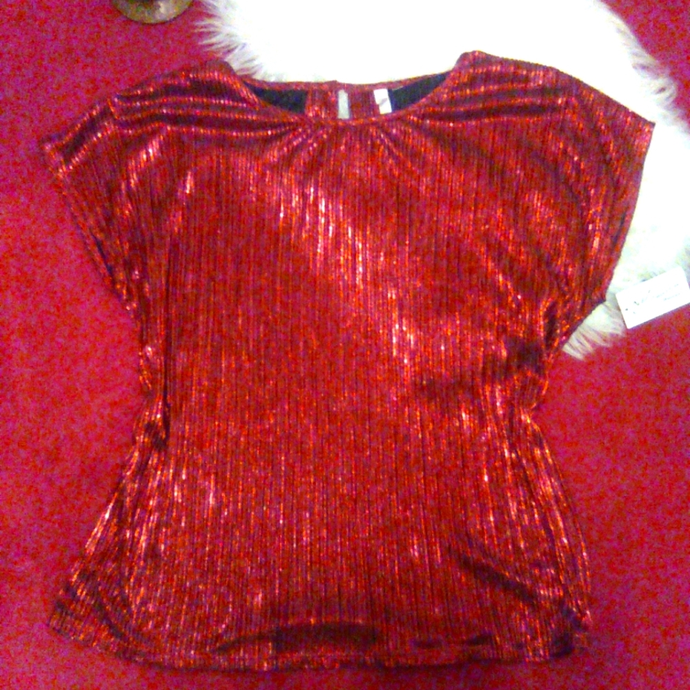 Women's Metallic Cranberry Top